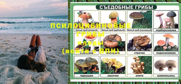 каннабис Белокуриха