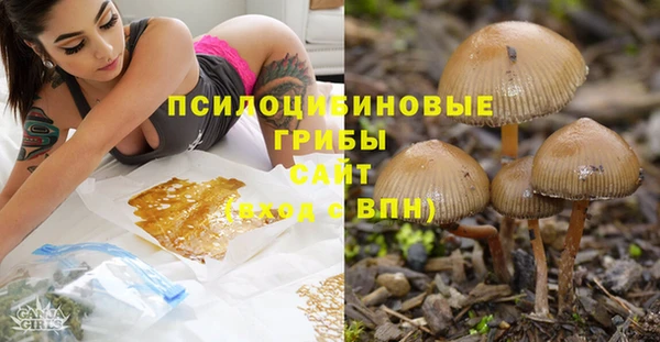 прущая мука Белоозёрский